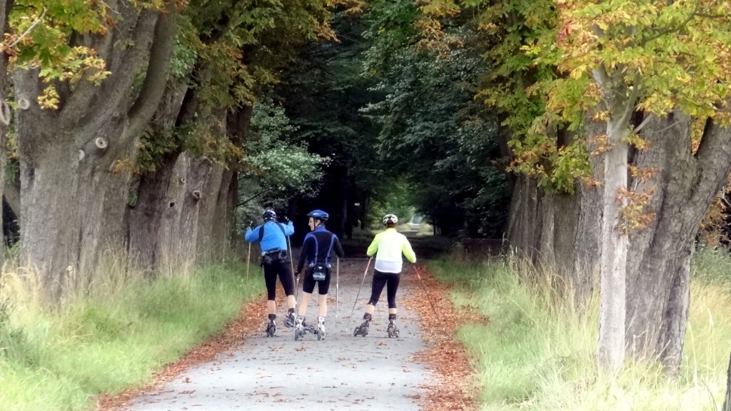 Cross-Skating im Herbst