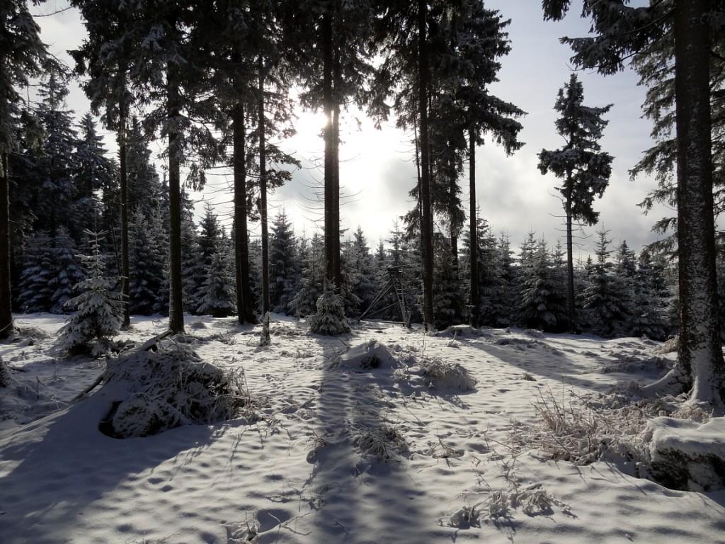 Schnee im Vogtland 2012